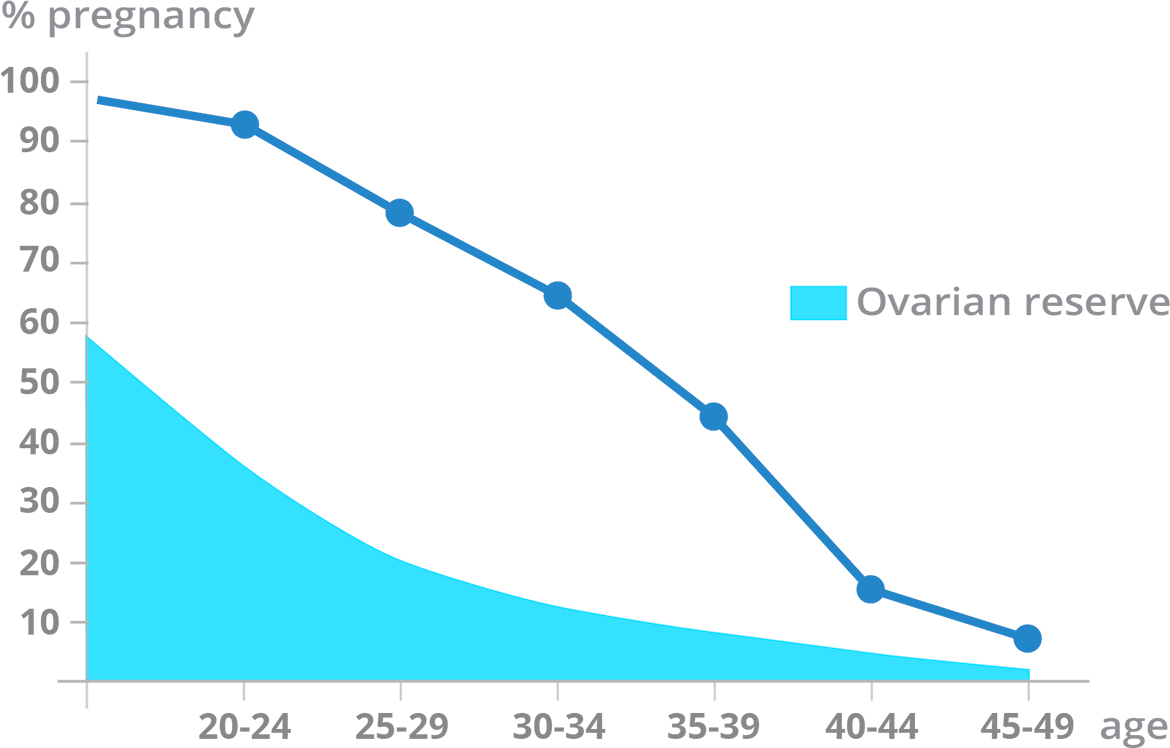 Pregnancy rates - Egg vitrification