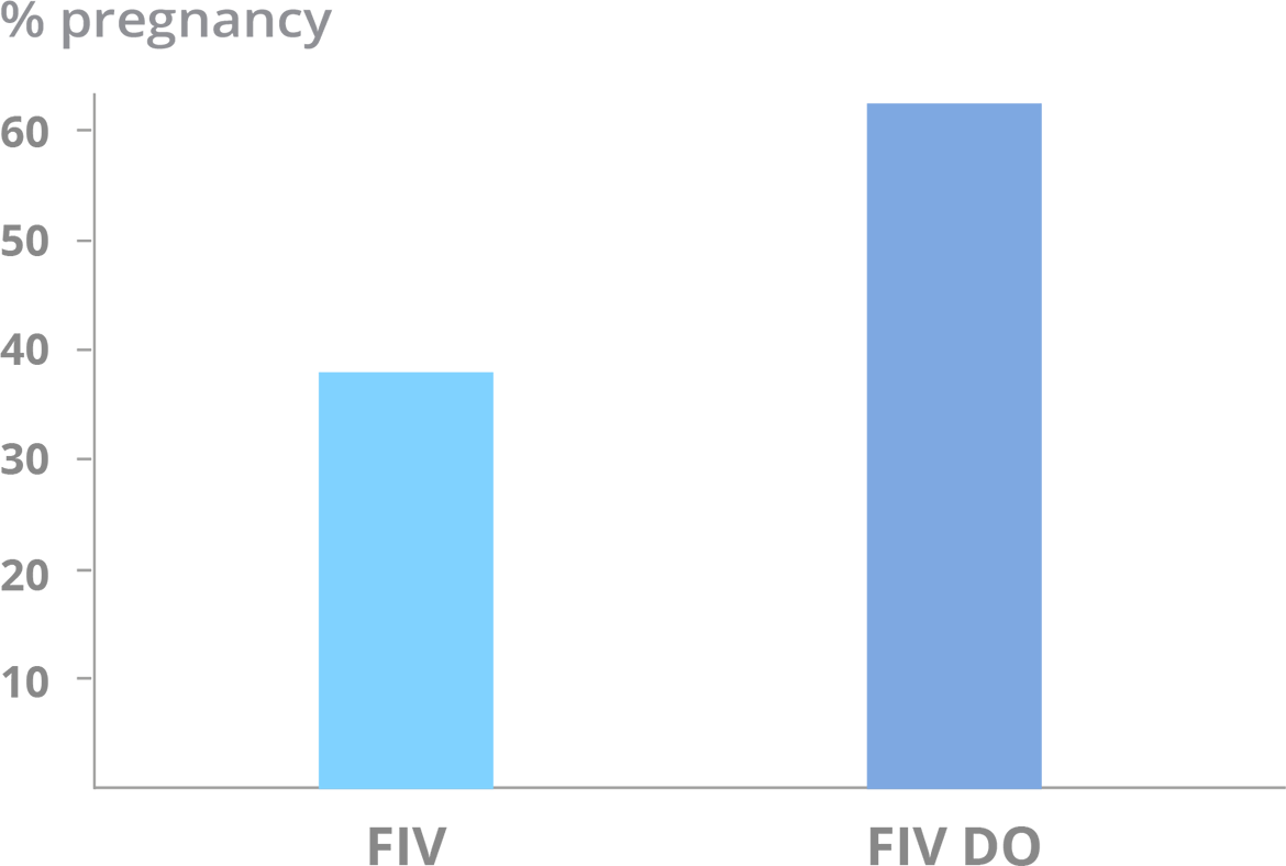 In Vitro Fertilisation (IVF) - Pregnancy rate